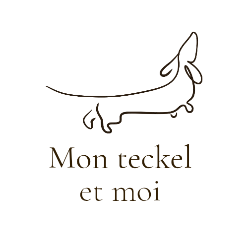 Mon teckel et moi 